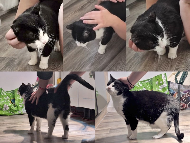 Weihnachtsgrüße von Moritz