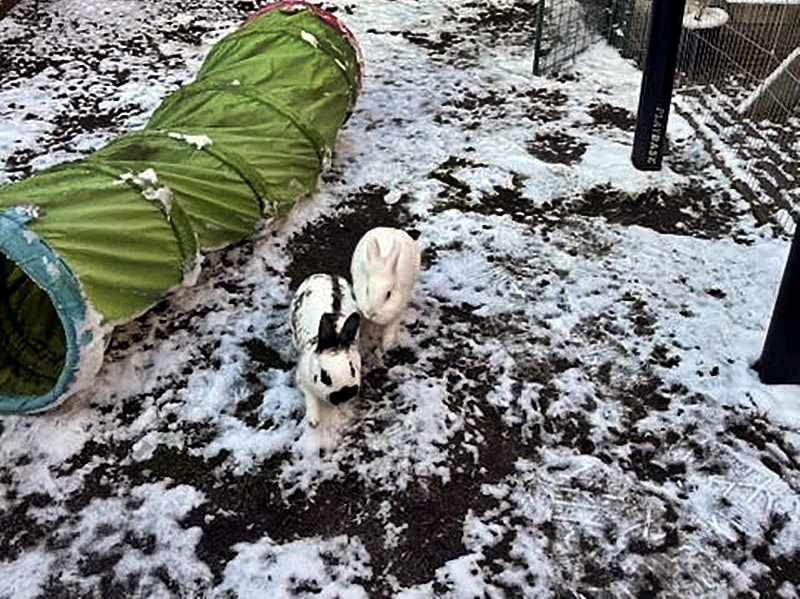 Floppi hat ihr Traumzuhause gefunden