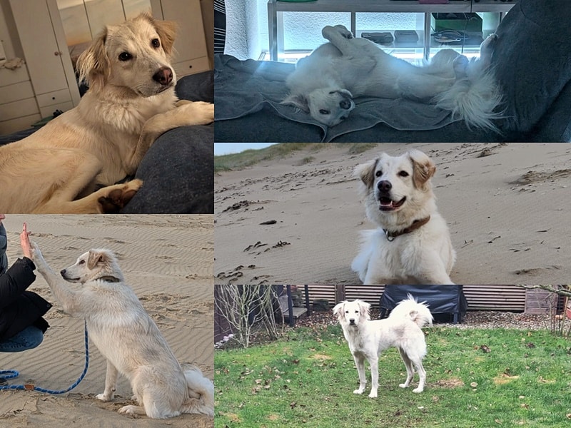 Sunny ist der Mittelpunkt ihrer Familie :-)