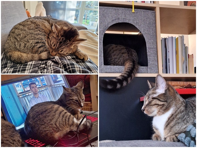 Jule und Jara sind richtig aufgeblüht