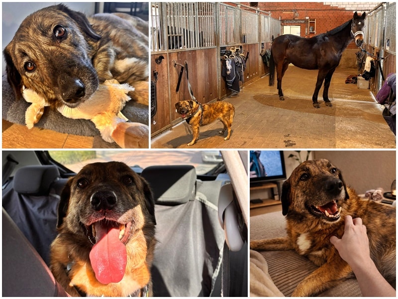 Die wundersame Verwandlung von Ernie