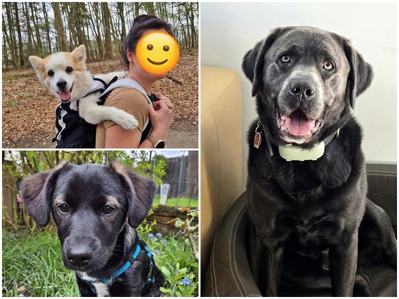 Viele Ostergrüße von glücklichen Ehemaligen