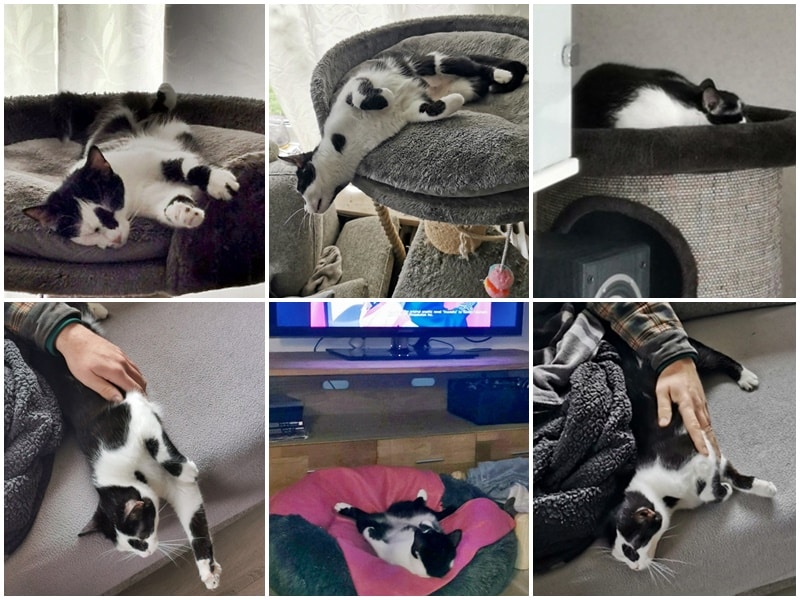 Karla und Muffin im Glück