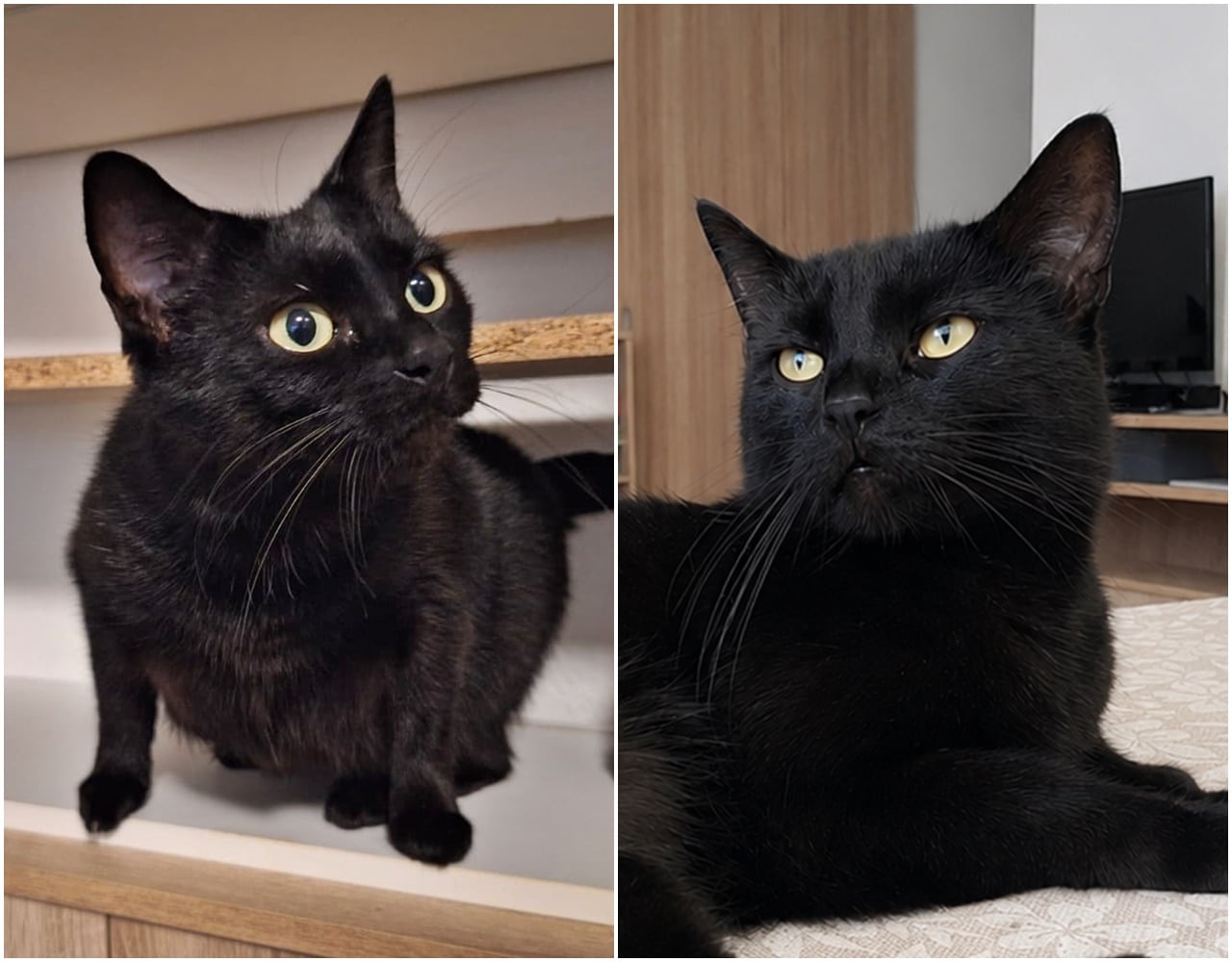 Anni und Pauline
